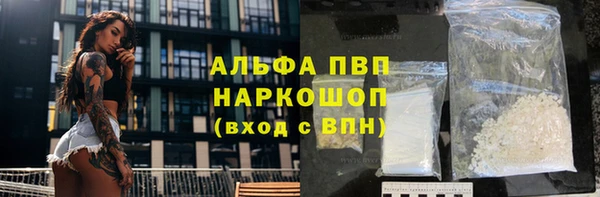 прущие грибы Богородицк