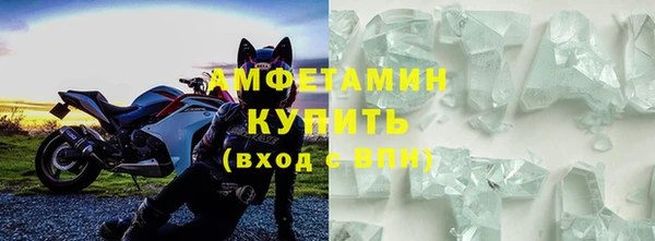прущие грибы Богородицк