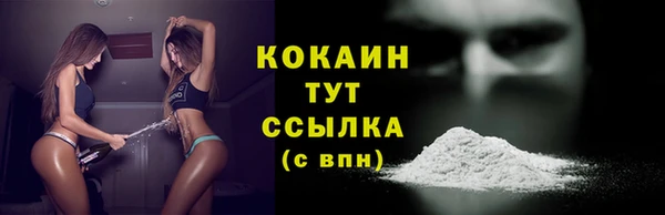 spice Богданович