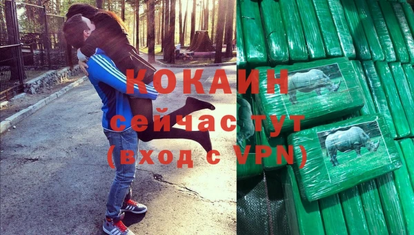 прущие грибы Богородицк