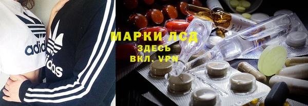 spice Богданович