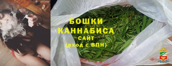 гашик Богородск